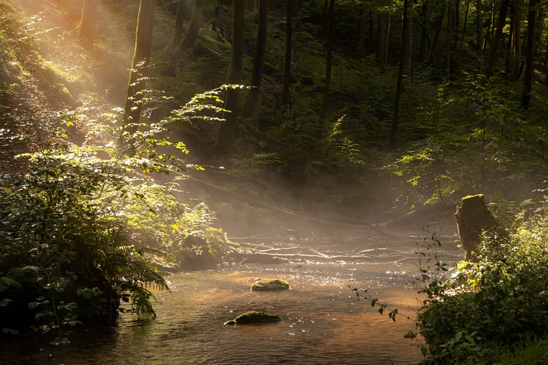 Restorative Flow